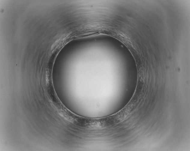 X0000070370740200606161316