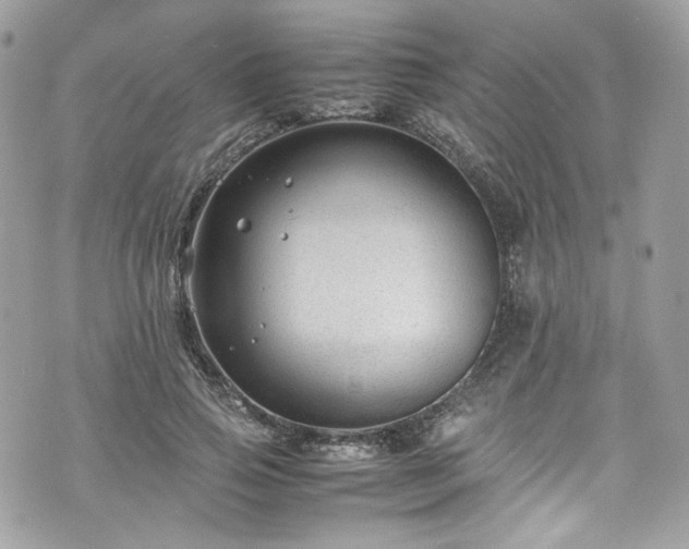 X0000070370741200606161317