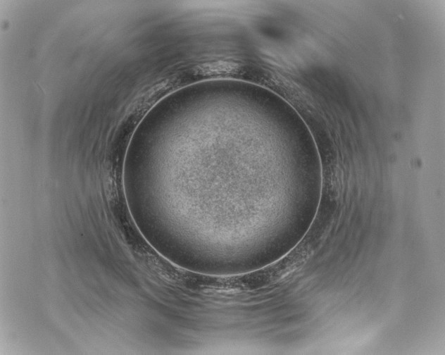 X0000070370743200606161317