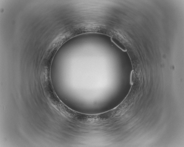 X0000070370744200606161317