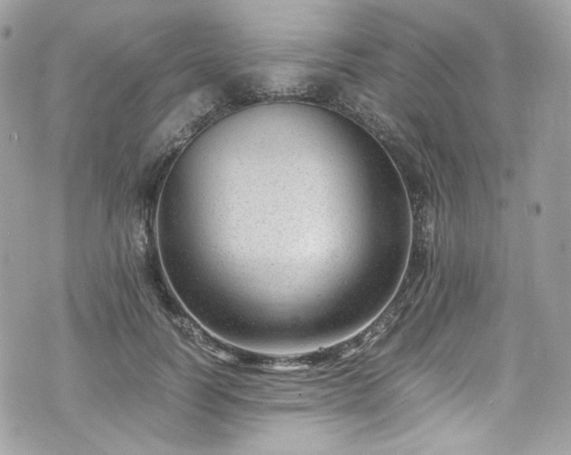 X0000070370746200606161317