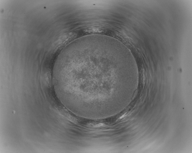 X0000070370747200606161317