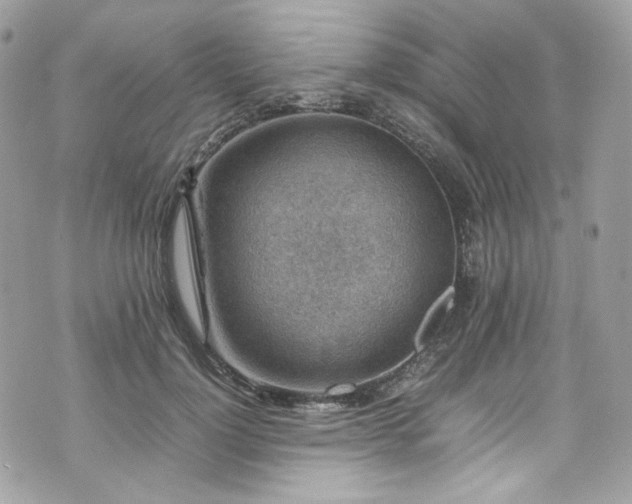 X0000070370748200606161317