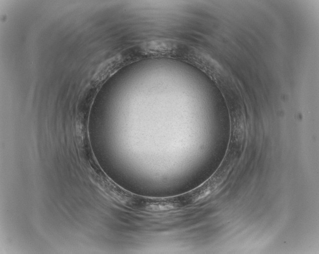 X0000070370749200606161317