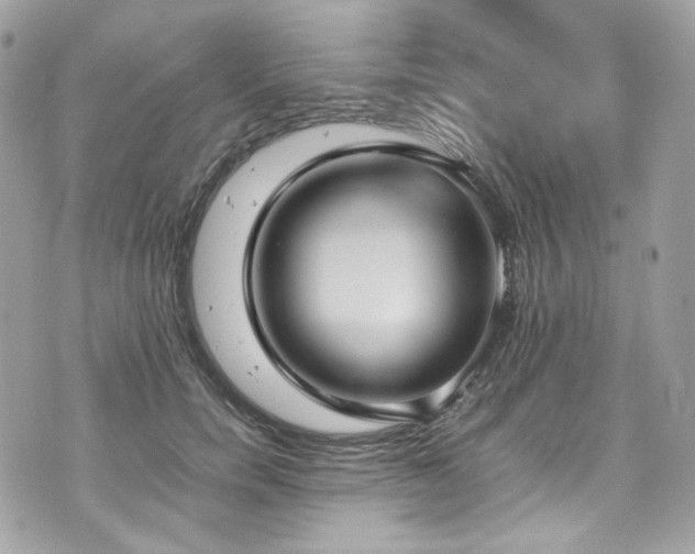 X0000070370750200606161317