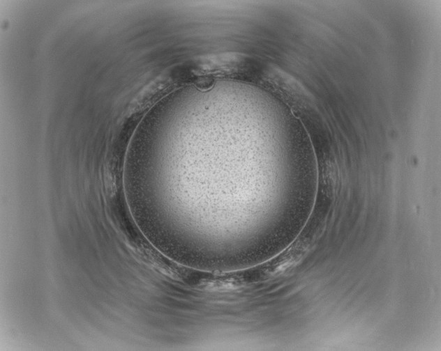 X0000070370751200606161317