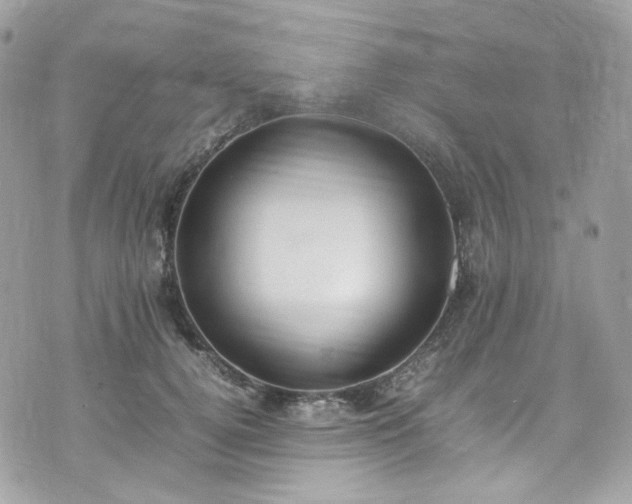 X0000070370752200606161317