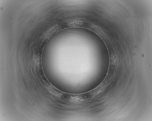 X0000070370753200606161317