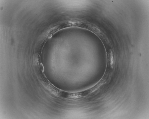 X0000070370754200606161317