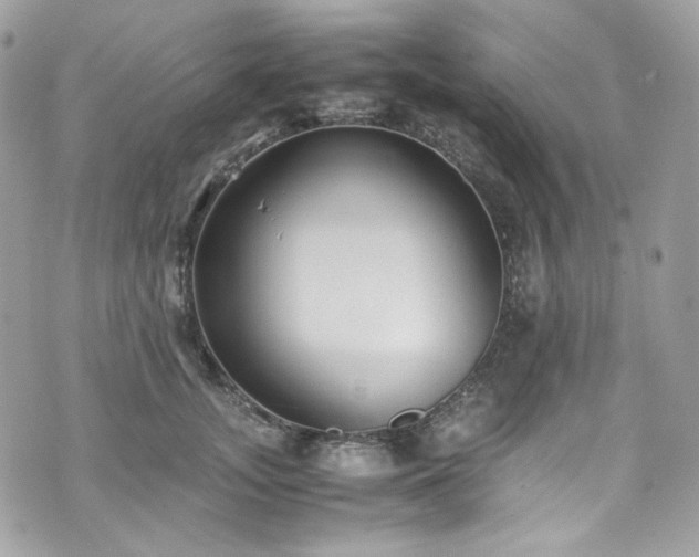 X0000070370755200606161317