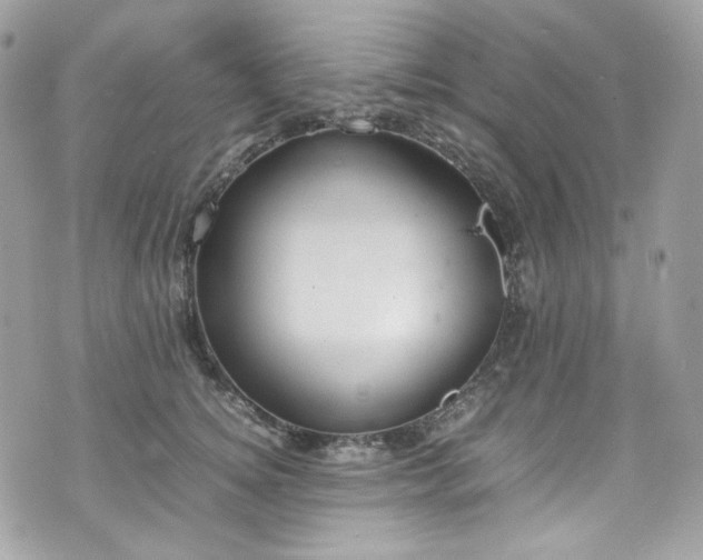 X0000070370756200606161317