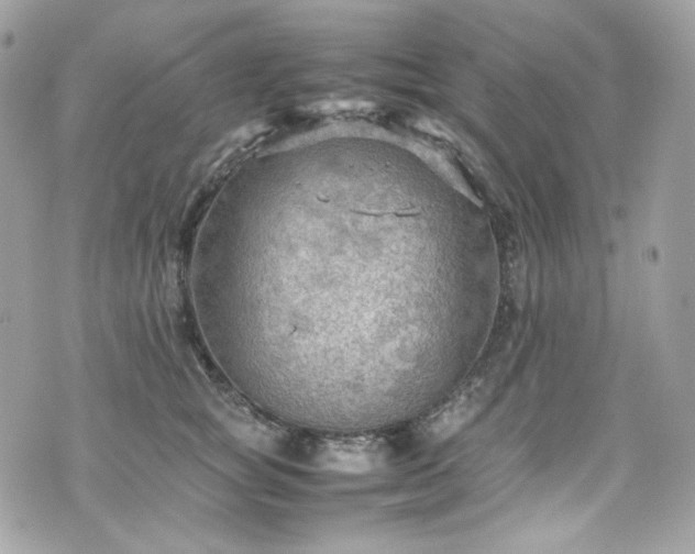 X0000070370757200606161317