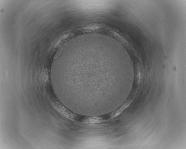 X0000070370758200606161317