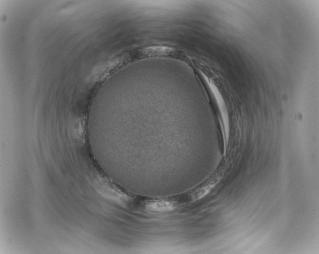 X0000070370759200606161317