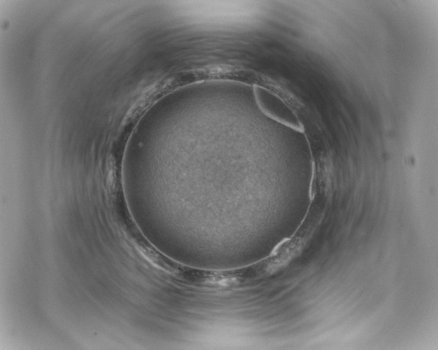 X0000070370760200606161317