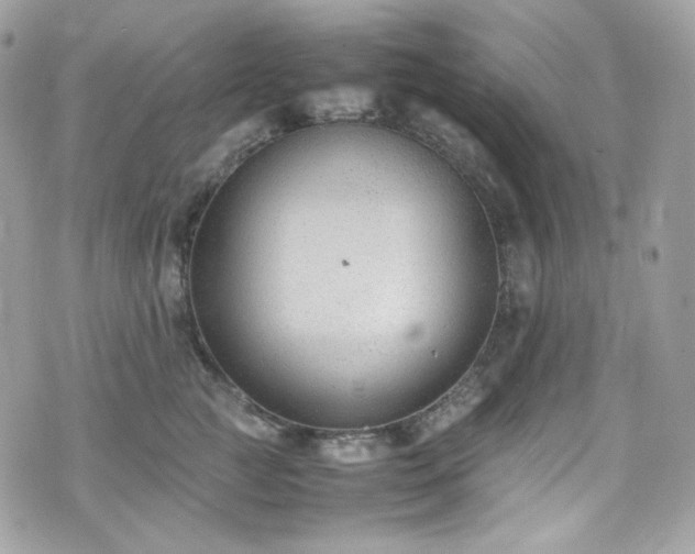 X0000070370761200606161317