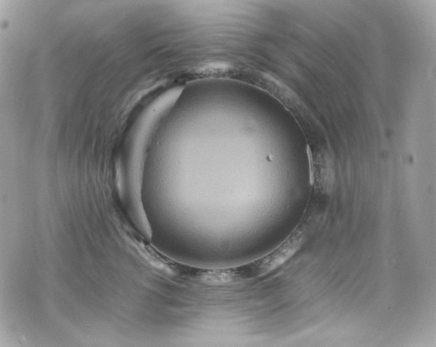 X0000070370762200606161317