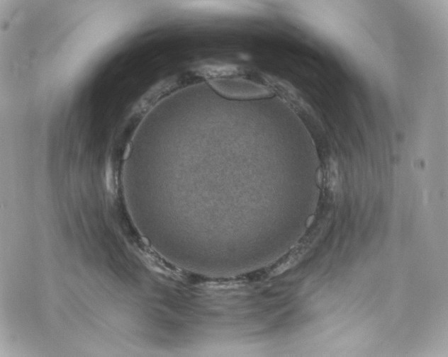 X0000070370763200606161317