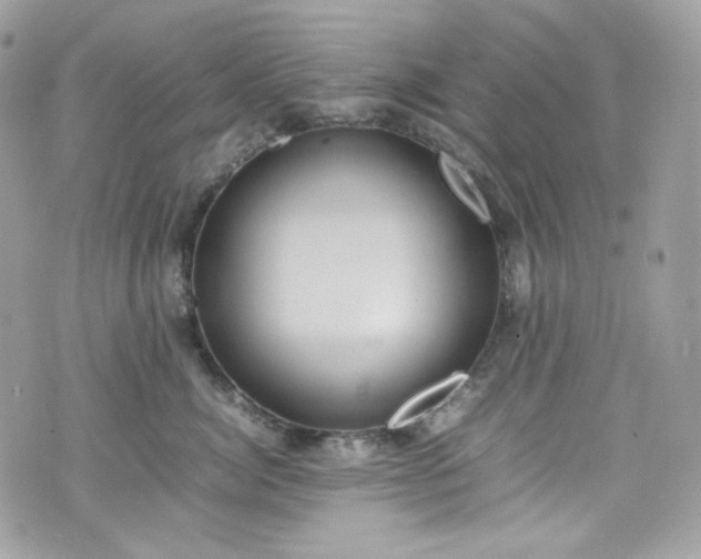 X0000070370764200606161317