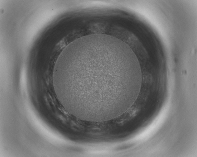 X0000070370765200606161317