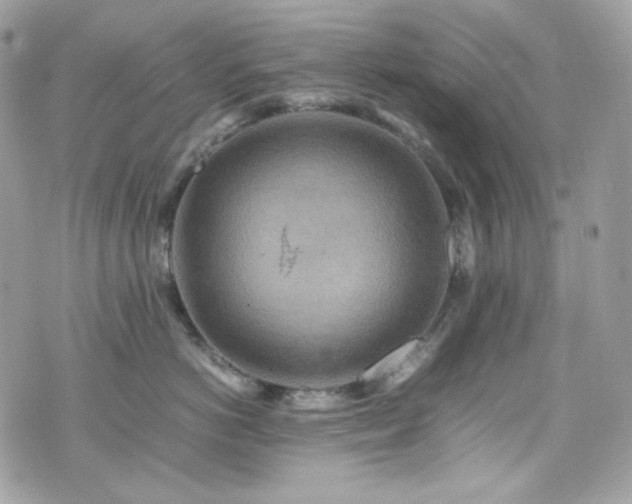 X0000070370766200606161317