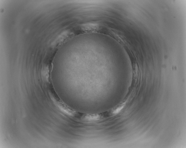 X0000070370767200606161317