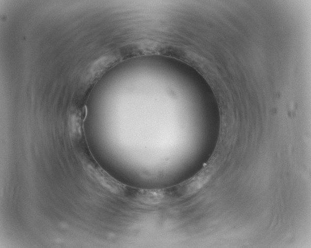 X0000070370768200606161317