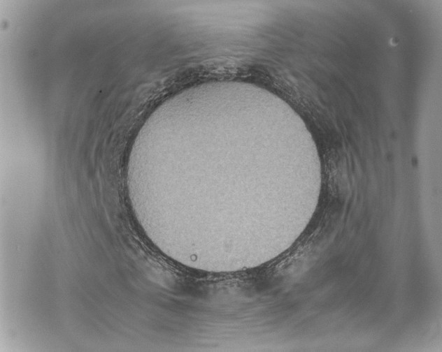 X0000070370769200606161316