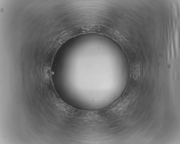 X0000070370770200606161316