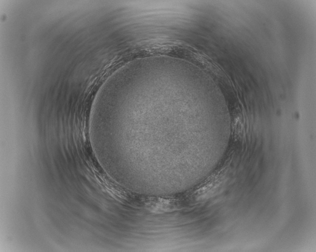 X0000070370772200606161316