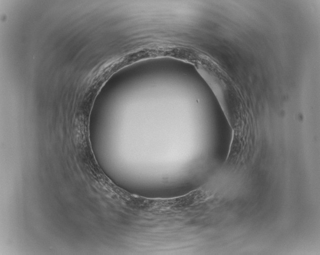 X0000070370773200606161316