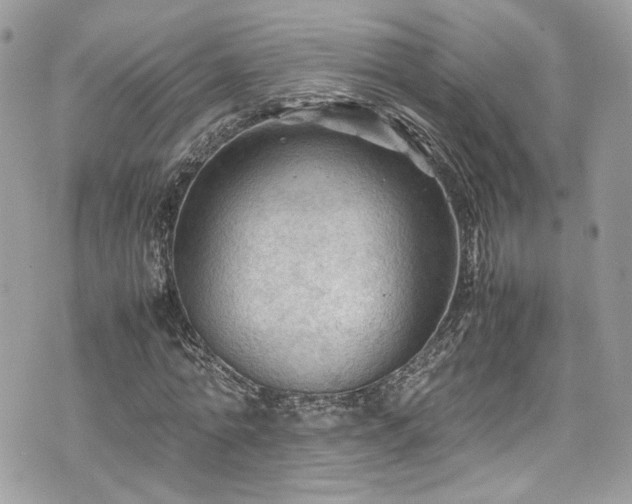 X0000070370774200606161316