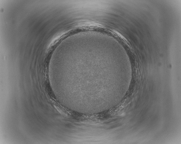 X0000070370775200606161316