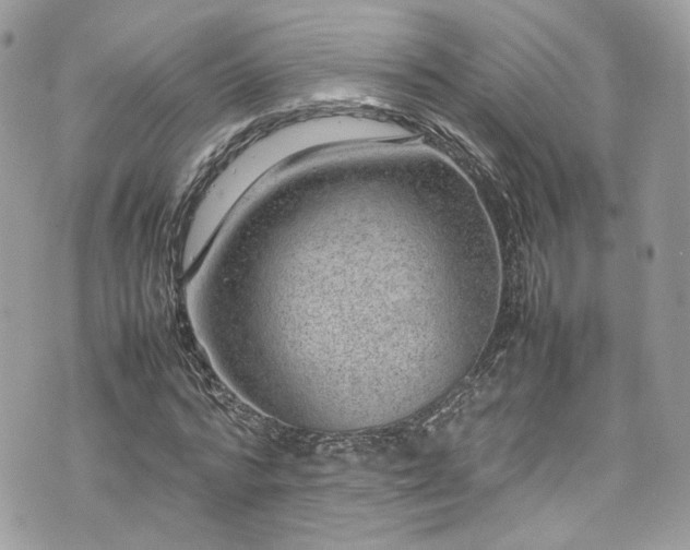 X0000070370776200606161316