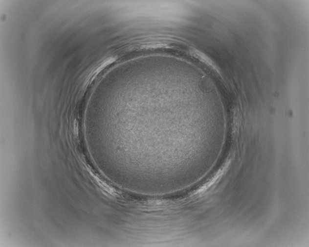 X0000070370777200606161316