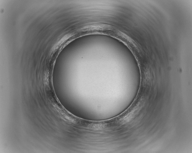 X0000070370778200606161316