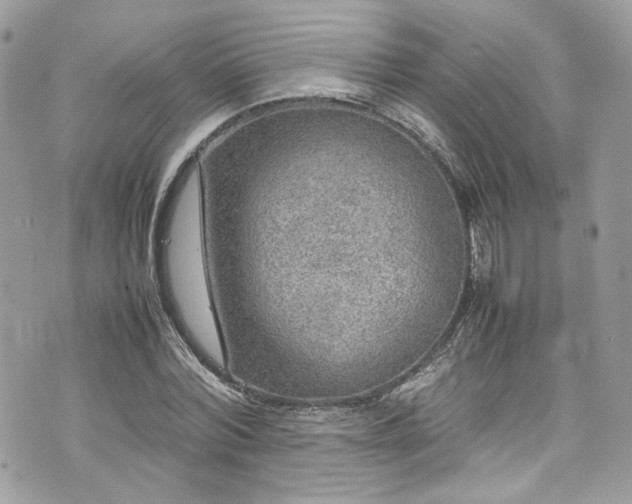 X0000070370780200606161316