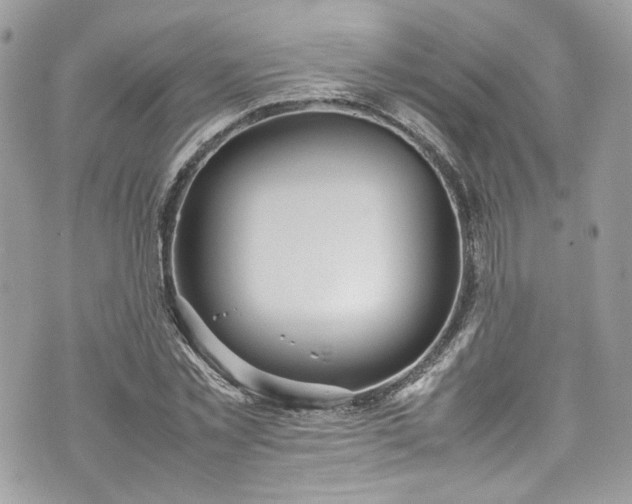 X0000070370781200606161316