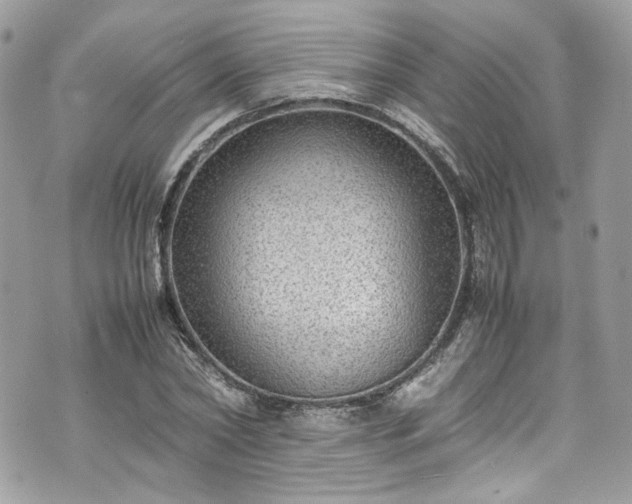 X0000070370782200606161316