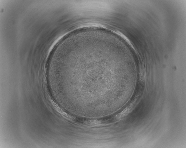 X0000070370783200606161316