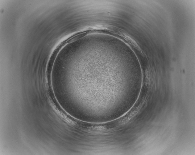 X0000070370784200606161316