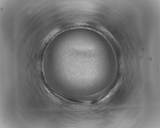 X0000070370785200606161316