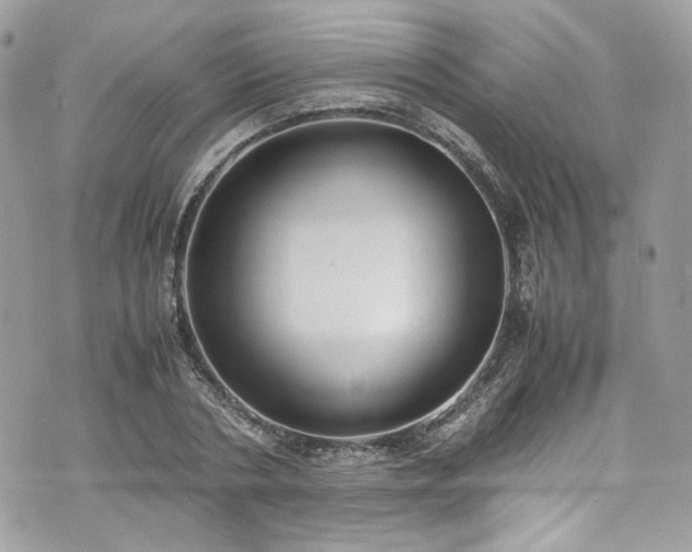 X0000070370786200606161316