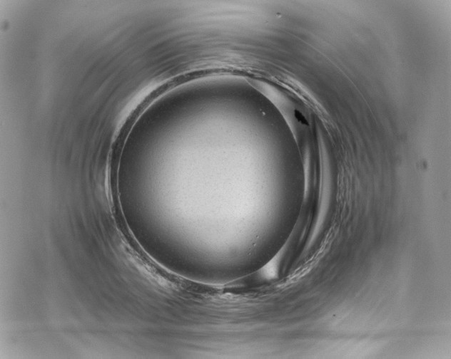 X0000070370788200606161316