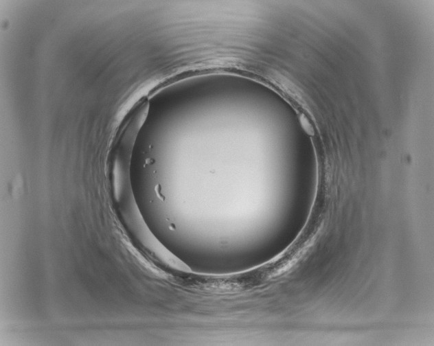 X0000070370789200606161316