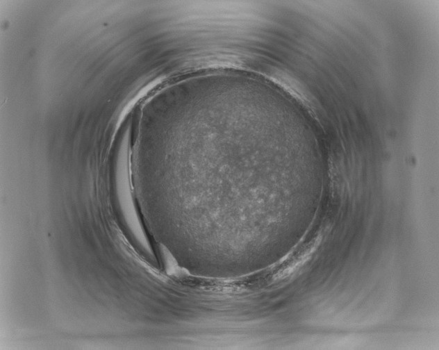 X0000070370790200606161316