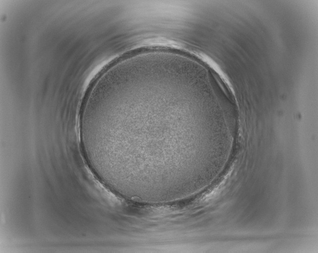 X0000070370791200606161316