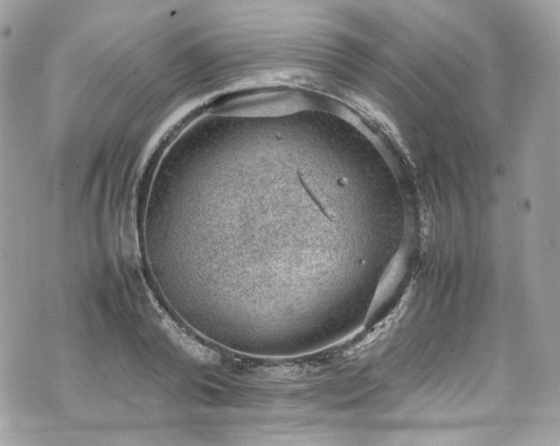 X0000070370792200606161316