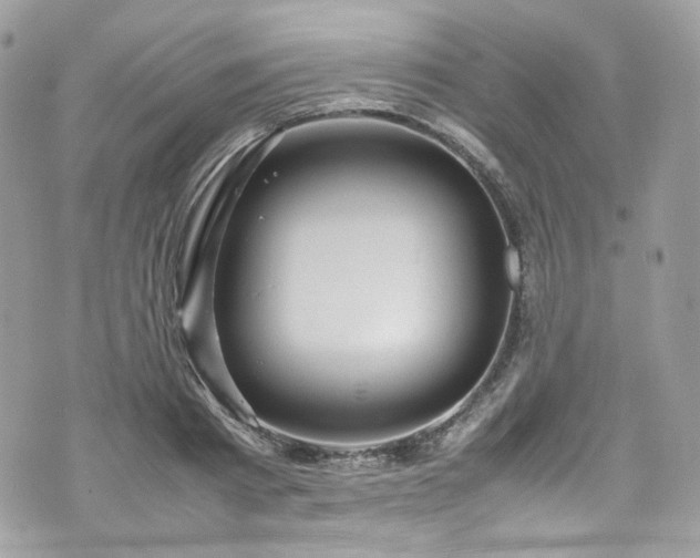 X0000070370793200606161316