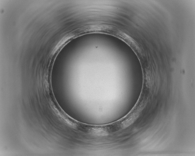 X0000070370794200606161316